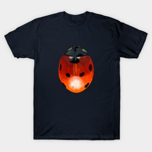 Ladybird Beetle Design T-Shirt